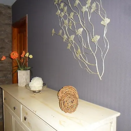Tulipan Icod De Los Vinos