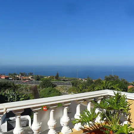 Tulipan Apartament