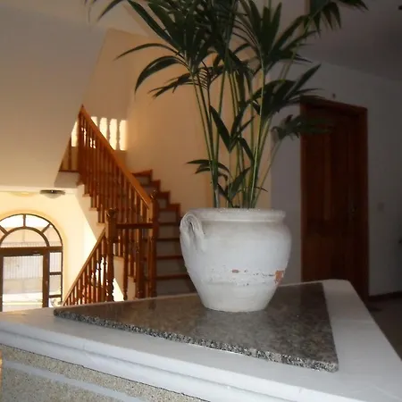 Apartament Tulipan *
