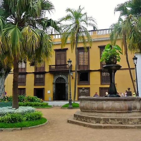 Tulipan Icod De Los Vinos